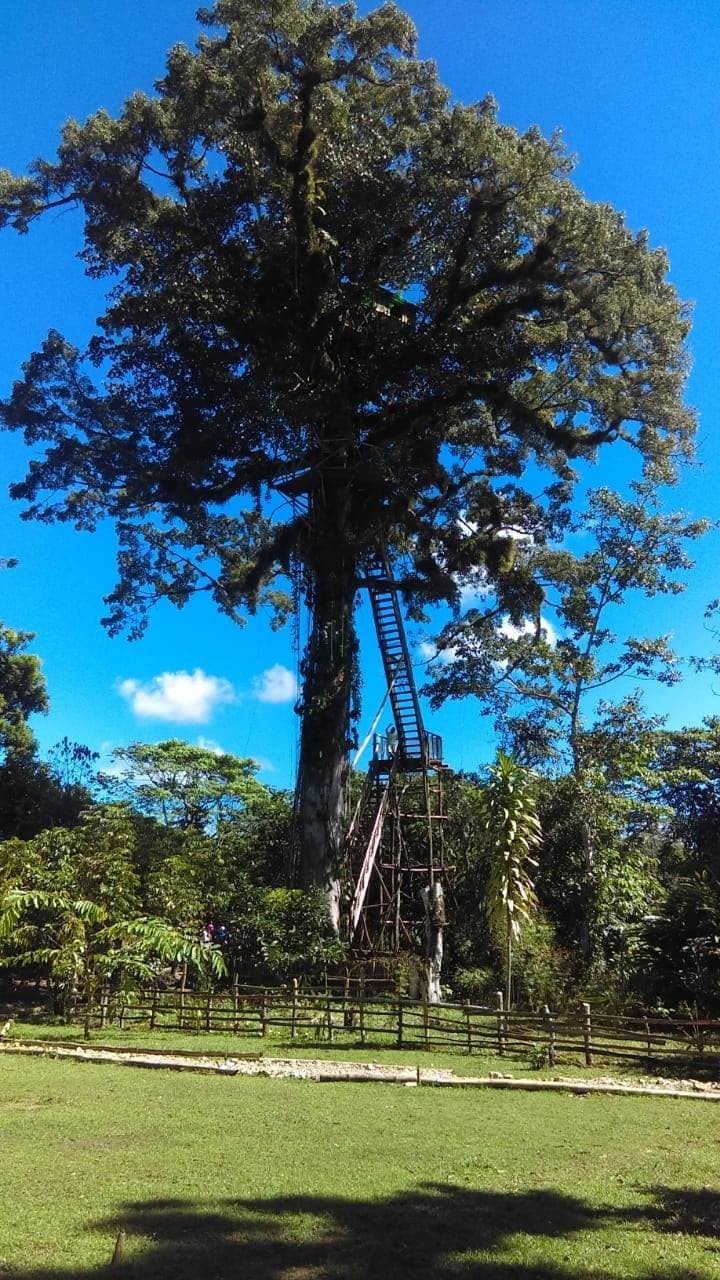 Los Haitises National Park & Yanigua Waterfall Tour Departure from Miches – Secrets Playa Esmeralda — Guided tour and outdoor activity
