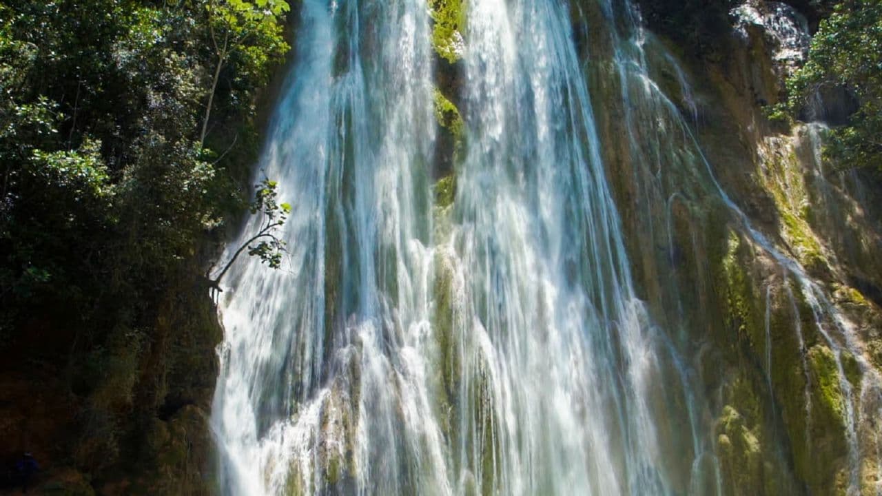 From Punta Cana: Samana Day Trip — Guided tour and outdoor activity