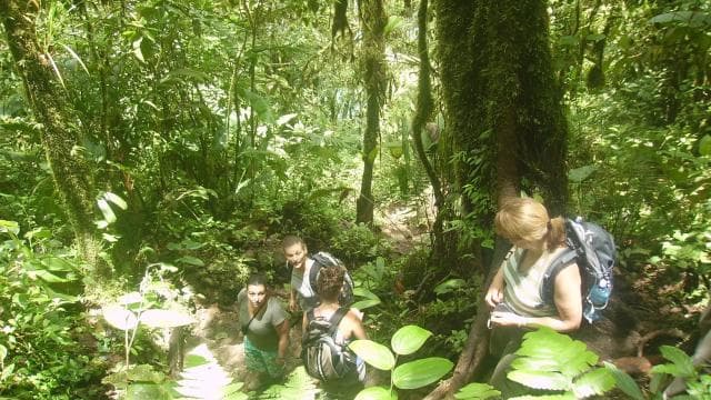 Río Celeste National Park Hike — Guided tour and outdoor activity