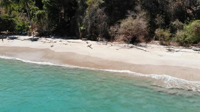Paquera: Isla Tortuga Snorkeling tour — Guided tour and outdoor activity