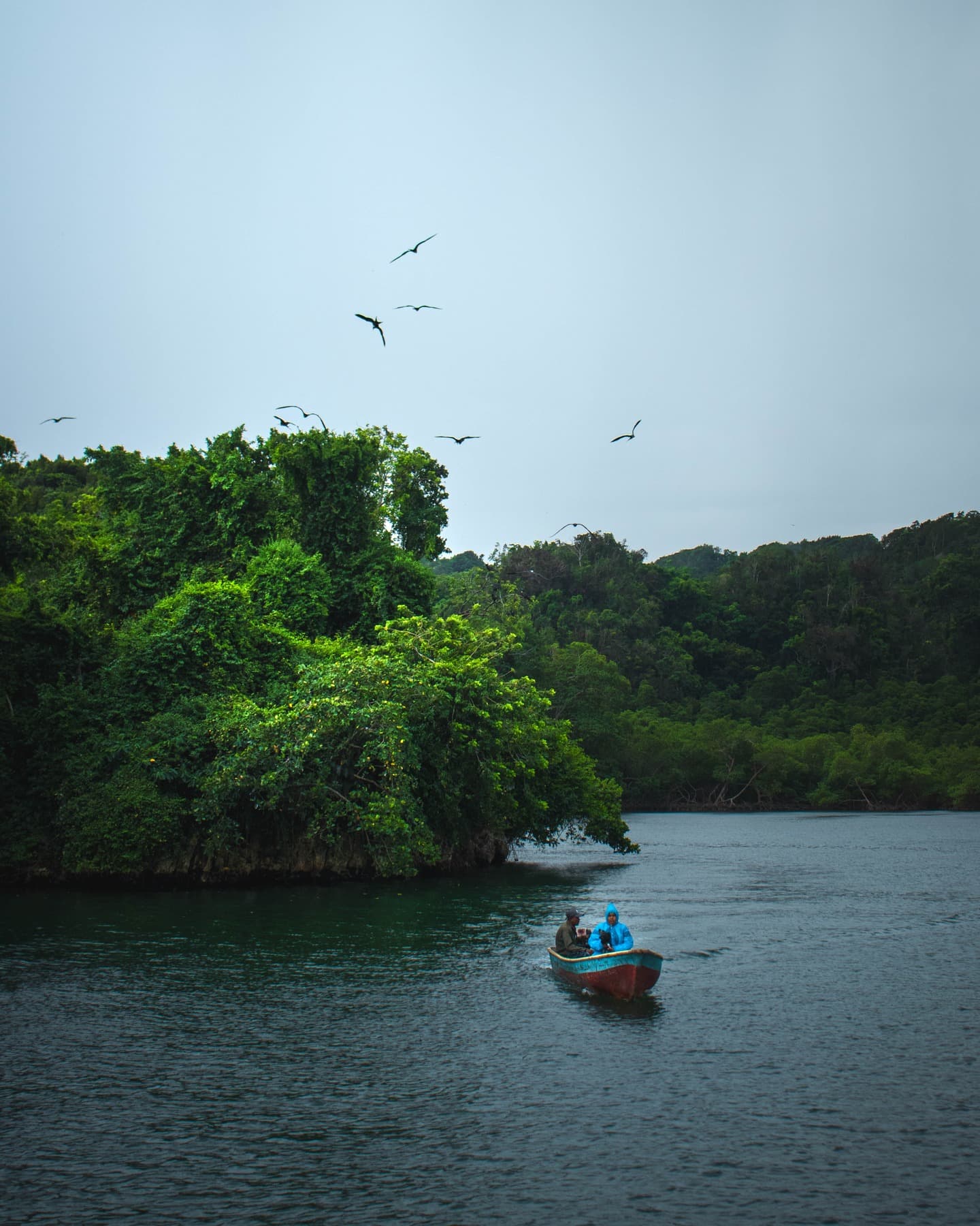 Los Haitises National Park: Boat and Walking Tour with Lunch — Guided tour and outdoor activity
