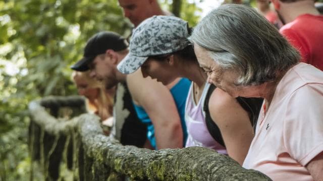 Fortuna Arenal : Poduri suspendate din Pădurea Tropicală Arenal — Guided tour and outdoor activity