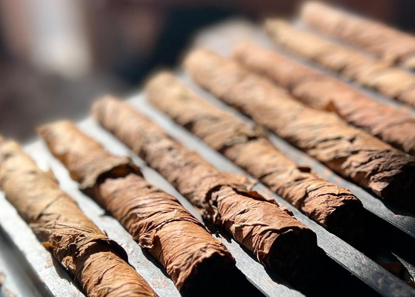 Roll Your Own Cigar in Miami — Guided tour and outdoor activity