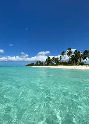 Saona Island VIP: 4 Beaches , Mano Juan & Canto de la Playa — Guided tour and outdoor activity