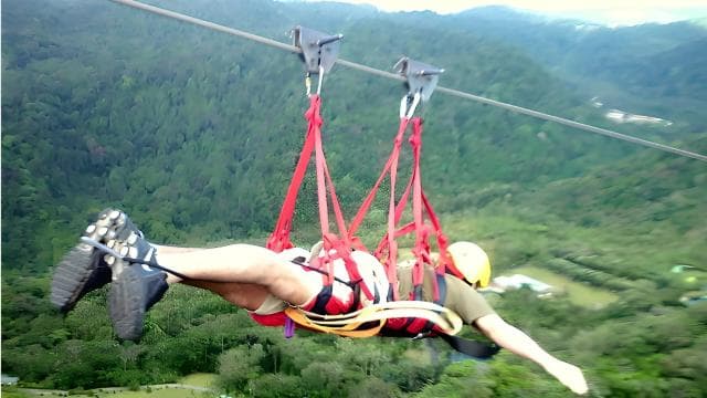 CostaRica: Cloud Forest Canopy Tour w/TarzanSwing & Superman — Guided tour and outdoor activity