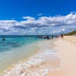 Catalina Island Tour: Boat, Beach Stay, Lunch & Free Drinks — Guided tour and outdoor activity