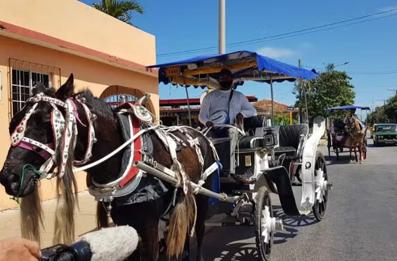 Varadero Guided Tour + Horse-Drawn Carriage Ride — Guided tour and outdoor activity