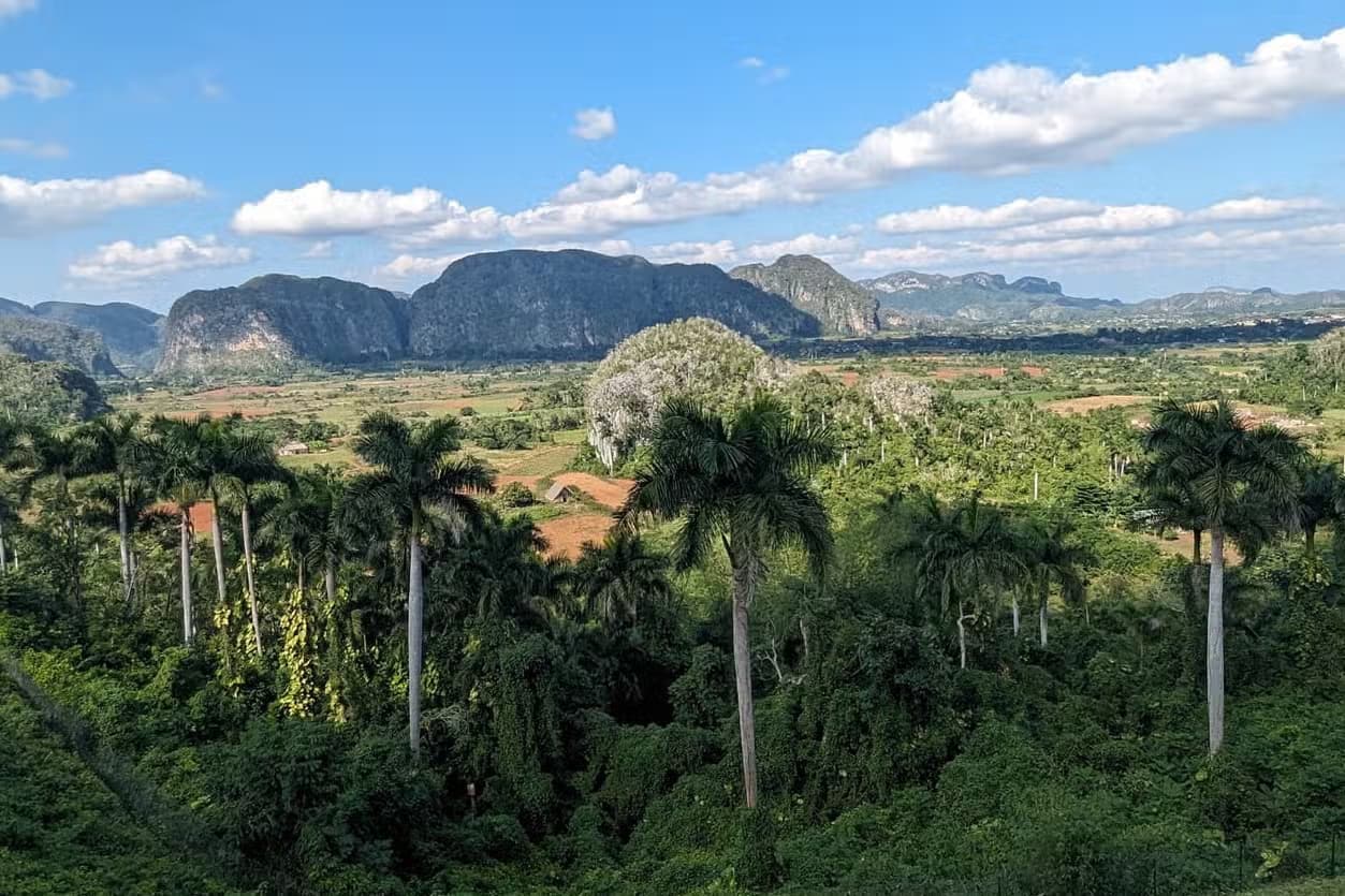 Day Trip to Viñales Valley & Las Terrazas — Guided tour and outdoor activity