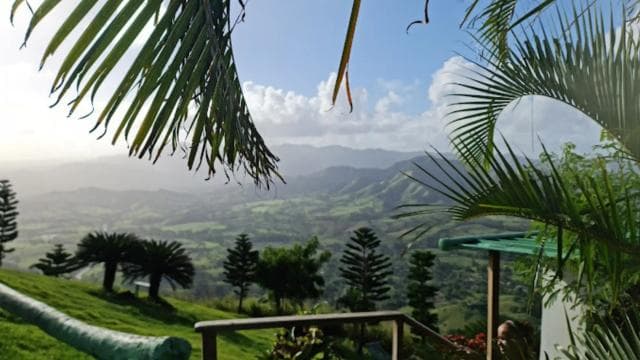 for Small Groups Half-Day Tour to Montaña Redonda — Guided tour and outdoor activity