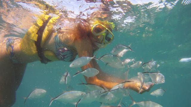 Punta Cana Happy Hour Sailing Cruise — Guided tour and outdoor activity