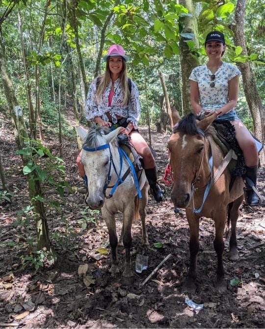 Whale Watching + Cayo Levantado + El Limón Waterfall Safari from Sabana de la Mar — Guided tour and outdoor activity