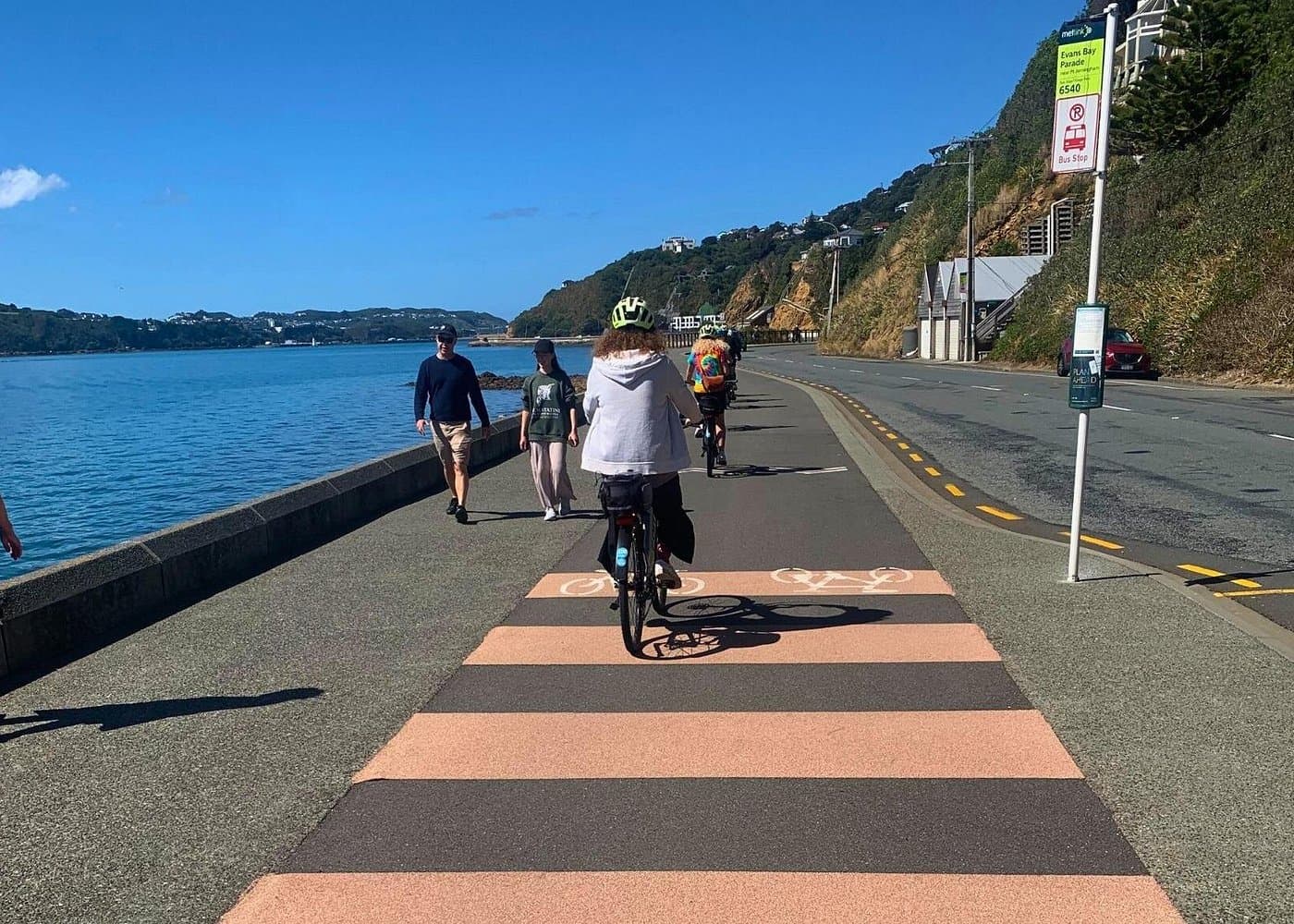 Wellington Electric Bike Rental — Guided tour and outdoor activity