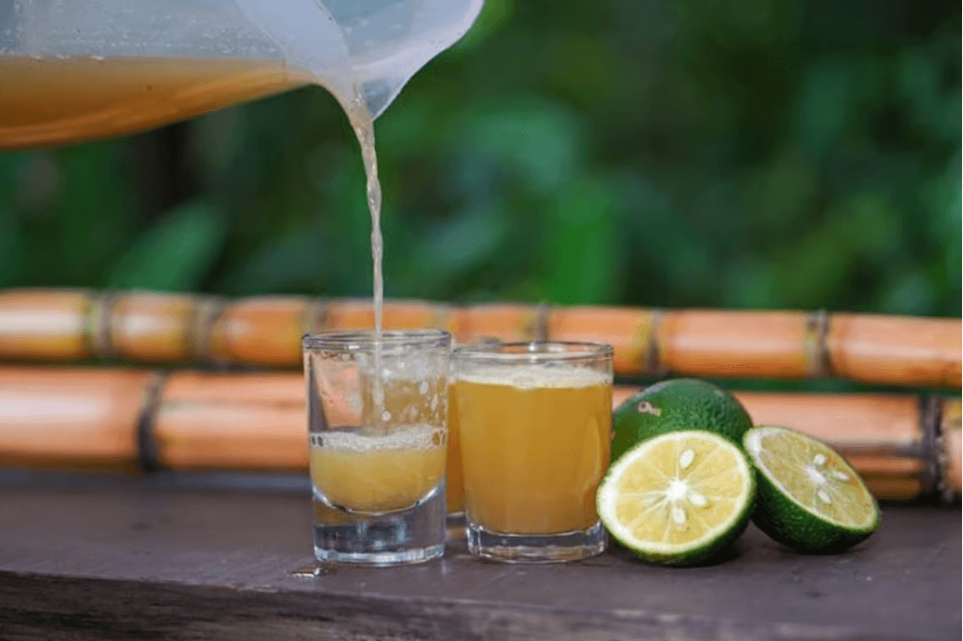 Monteverde: Coffee, Sugar Cane, and Chocolate Tour — Guided tour and outdoor activity
