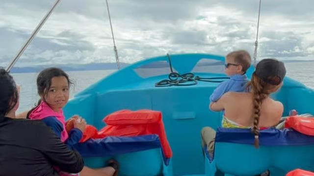 Puerto Jiménez: Dolphin Watching with a Snorkeling Stop — Guided tour and outdoor activity