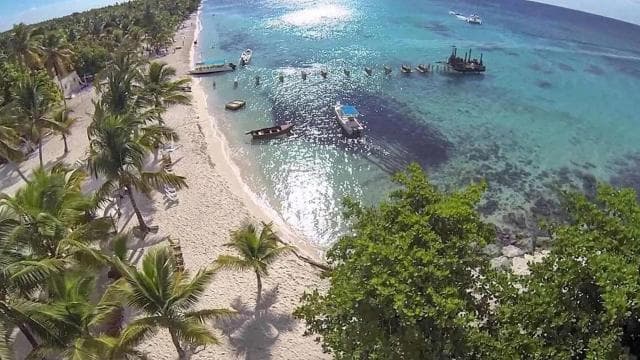 Saona Island: Relaxation Day Trip with Open Bar — Guided tour and outdoor activity