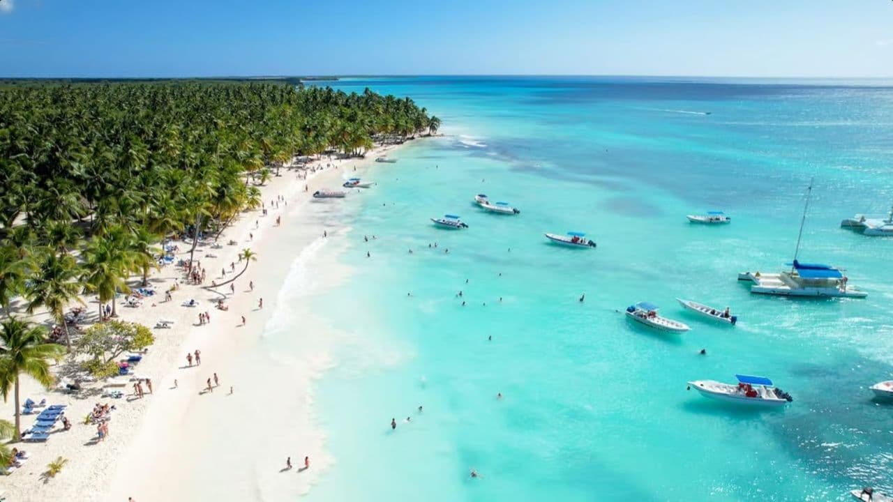From Punta Cana: Saona Island Day Trip with Buffet Lunch — Guided tour and outdoor activity