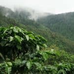 Miches: Samaná Whale Watching + Cayo Levantado (Bacardi Island) + El Limón Waterfalls — Guided tour and outdoor activity