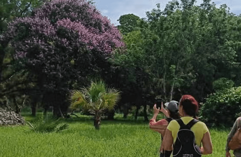 Day Trip to Cienfuegos Botanical Garden — Guided tour and outdoor activity