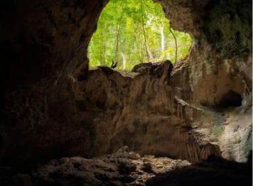 Samana: Los Haitises Kayaks & Caño Hondo Pools Tour w/ Lunch — Guided tour and outdoor activity