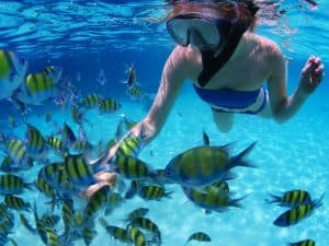 Four Adventures: Parasailing, Snorkeling Cruise, Sharks & Rays in Natural Pools from Punta Cana — Guided tour and outdoor activity