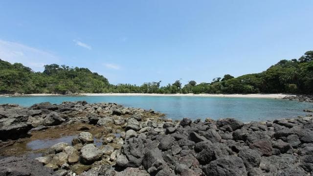 Manuel Antonio surf lessons — Guided tour and outdoor activity