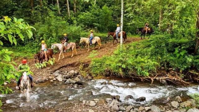 Jaco: Rainforest Horseback Ride to El Encanto Waterfall — Guided tour and outdoor activity