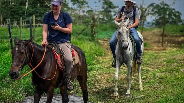 Horseback Ride to Hidden Waterfall & Hot Springs — Guided tour and outdoor activity