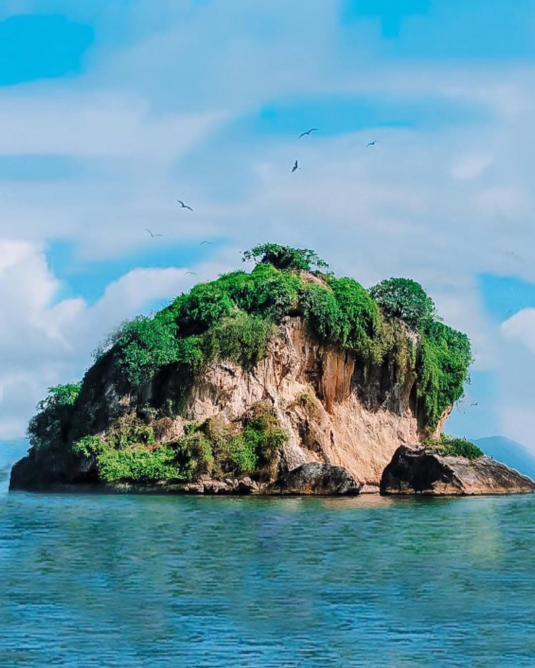 Sabana de la Mar: Los Haitises Boat Tour + Yanigua Waterfalls — Guided tour and outdoor activity