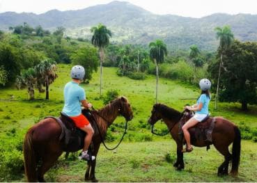 VIP DayPass | ATV's, Zip Lines, Horse Riding| Hotel & Cruise — Guided tour and outdoor activity