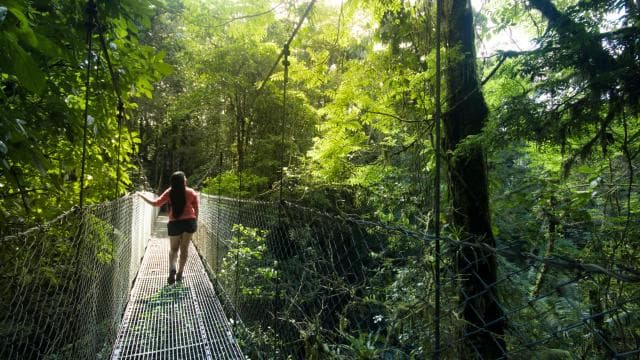Arenal National Park: Hanging Bridges Small Group Tour — Guided tour and outdoor activity