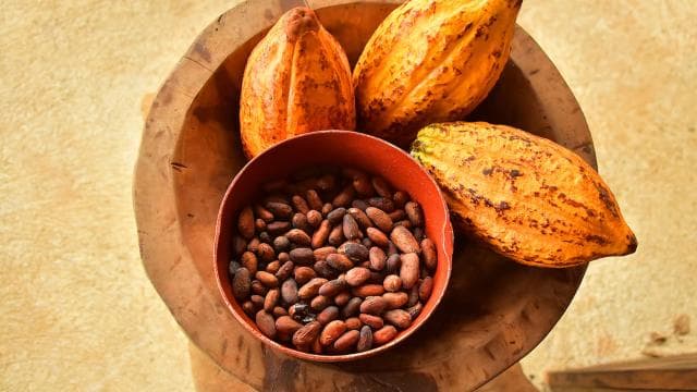Jaco Beach: 2-Hour Chocolate Experience Tour — Guided tour and outdoor activity