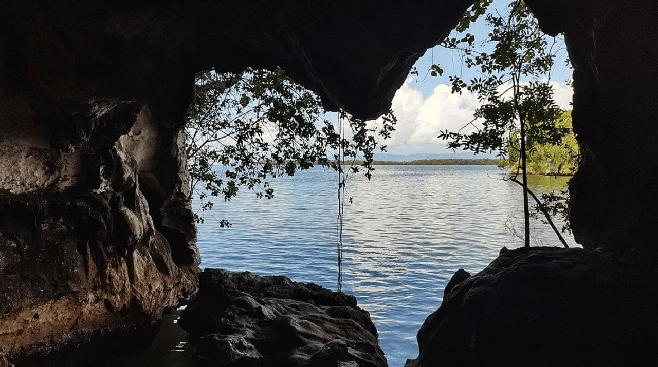 Samana: Walking City Tour — Guided tour and outdoor activity