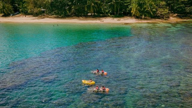 Punta Uva: Clear Kayak Tour with Jungle and Sea Views — Guided tour and outdoor activity