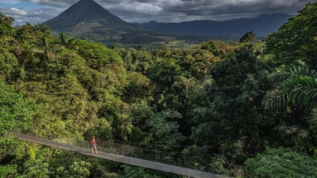 Costa Rica: Mistico Hanging Bridges Guided Tour — Guided tour and outdoor activity