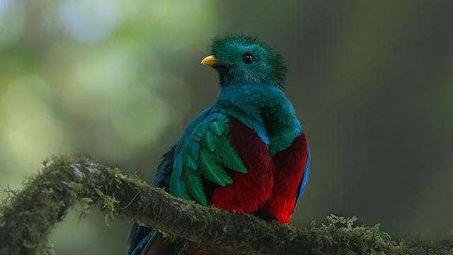 Full day excursion in the cloud Forest — Guided tour and outdoor activity