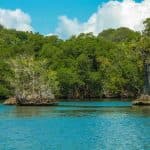 Sánchez in Samaná: Los Haitises Boat trip small groups — Guided tour and outdoor activity