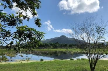 Puerto Plata Off-Road ATV Adventure — Guided tour and outdoor activity