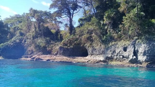 Manzanillo: Dolphin watching and Punta Mona Beach — Guided tour and outdoor activity
