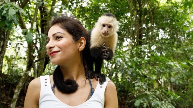 San Jose: Manuel Antonio National Park Day Trip with Lunch — Guided tour and outdoor activity