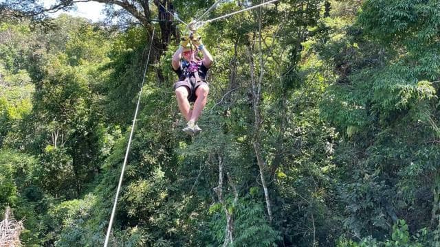 Manuel Antonio: Zipline Canopy Tour with Butterfly Garden — Guided tour and outdoor activity