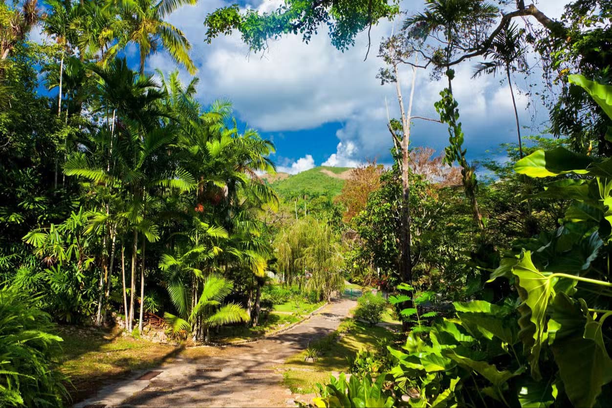 Las Terrazas & Soroa Waterfalls Day Trip — Guided tour and outdoor activity