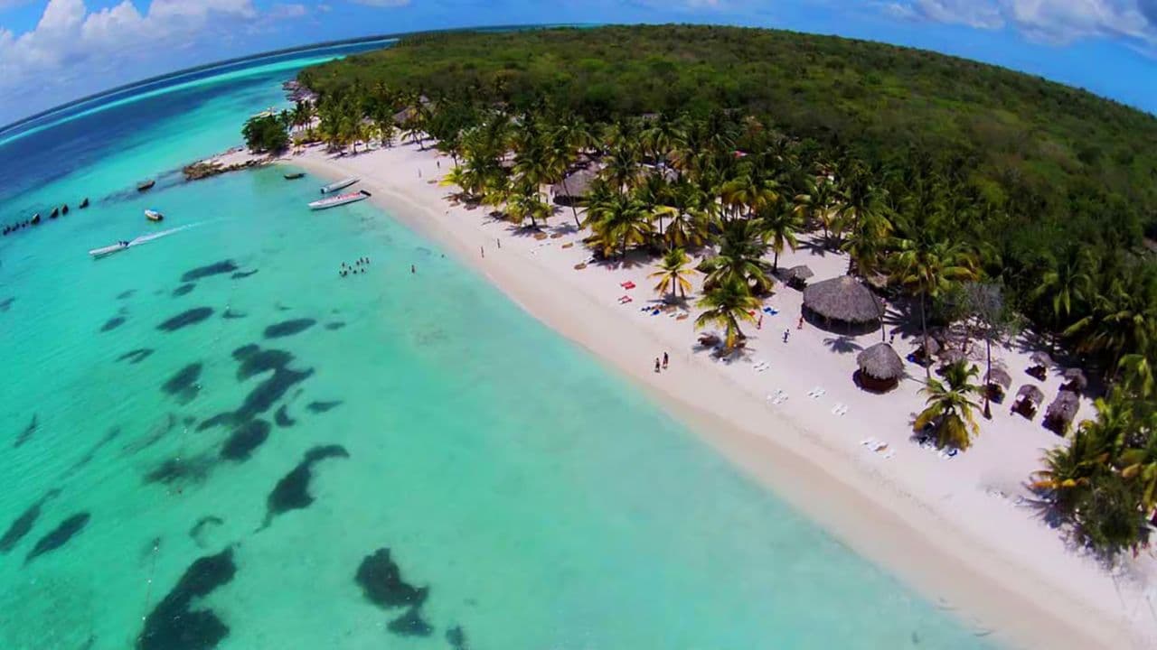 Punta Cana: Saona Island Full-Day with Buffet and Pickup — Guided tour and outdoor activity