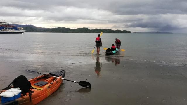 Paquera: Sunset and Bioluminescence Evening Kayaking Tour — Guided tour and outdoor activity