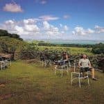 Caño Hondo Hotel Room & Free Breakfast for 1 Guest — Guided tour and outdoor activity