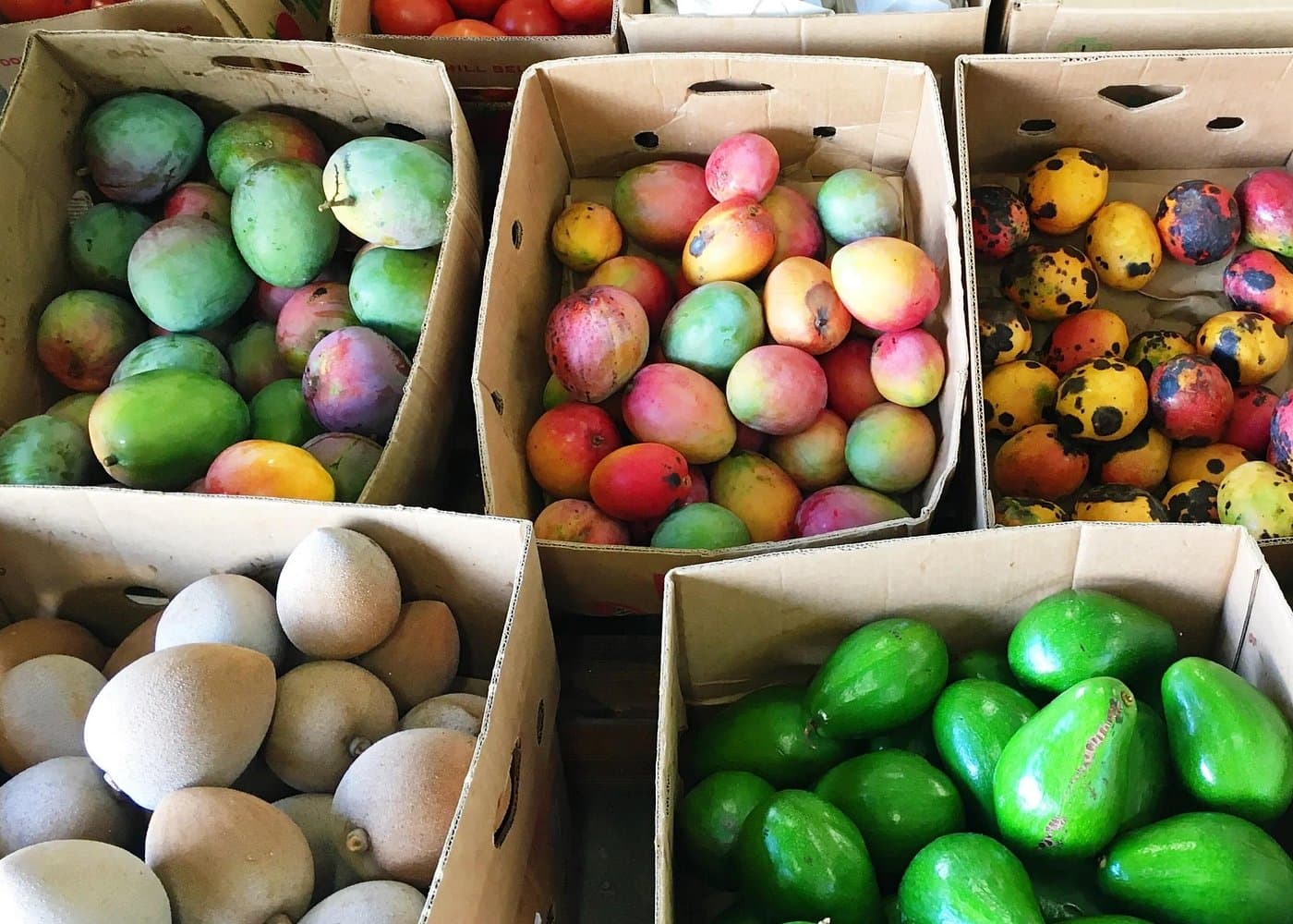 Little Havana Like a Local: Food, Culture & Hidden Gems — Guided tour and outdoor activity