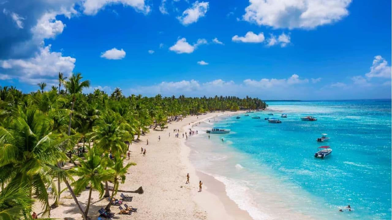 From Santo Domingo: Isla Saona Full-Day Tour with Lunch — Guided tour and outdoor activity