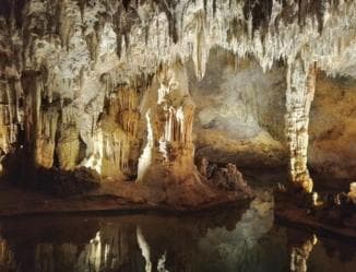 Private Excursion to Cuevas las Maravillas & Altos de Chavón — Guided tour and outdoor activity