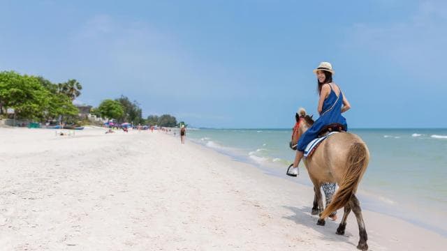 Punta Cana: Horseback Riding through Stunning Beaches — Guided tour and outdoor activity