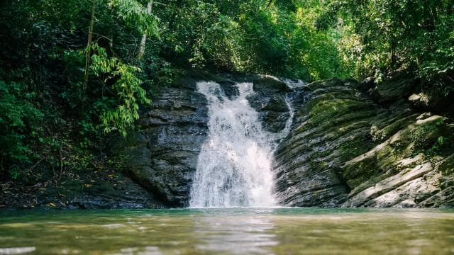 Nauyaca Full Day — Guided tour and outdoor activity