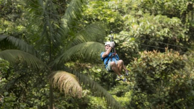 San Jose: San Luis Rainforest and Zipline Tour with Lunch — Guided tour and outdoor activity